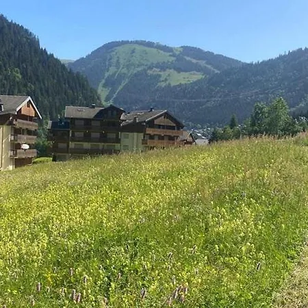 Avec Animaux Admis - 4 Pers. - Fr-1-676-260 Apartment Châtel